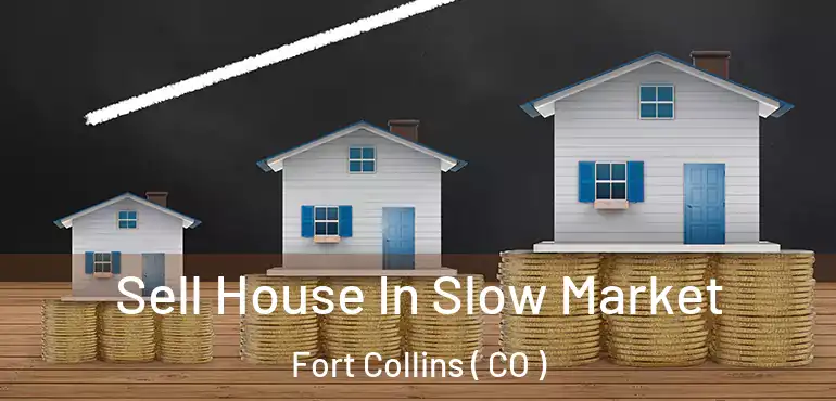  Sell House In Slow Market Fort Collins ( CO )