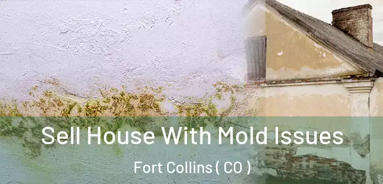  Sell House With Mold Issues Fort Collins ( CO )